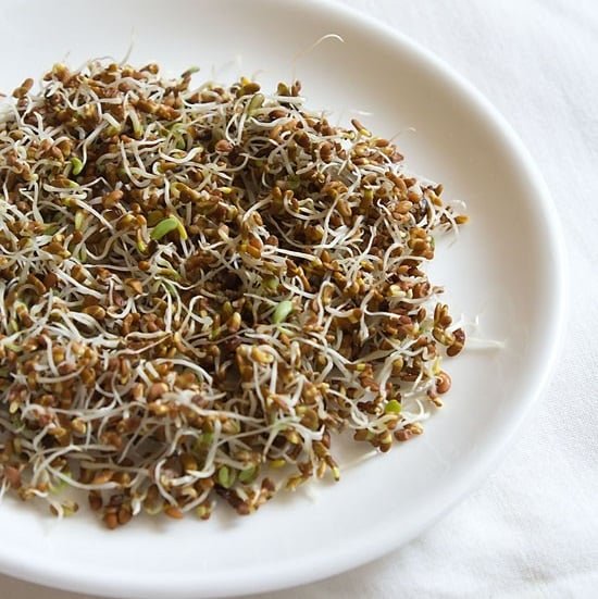 Alfalfa Sprouts (100 gm)
